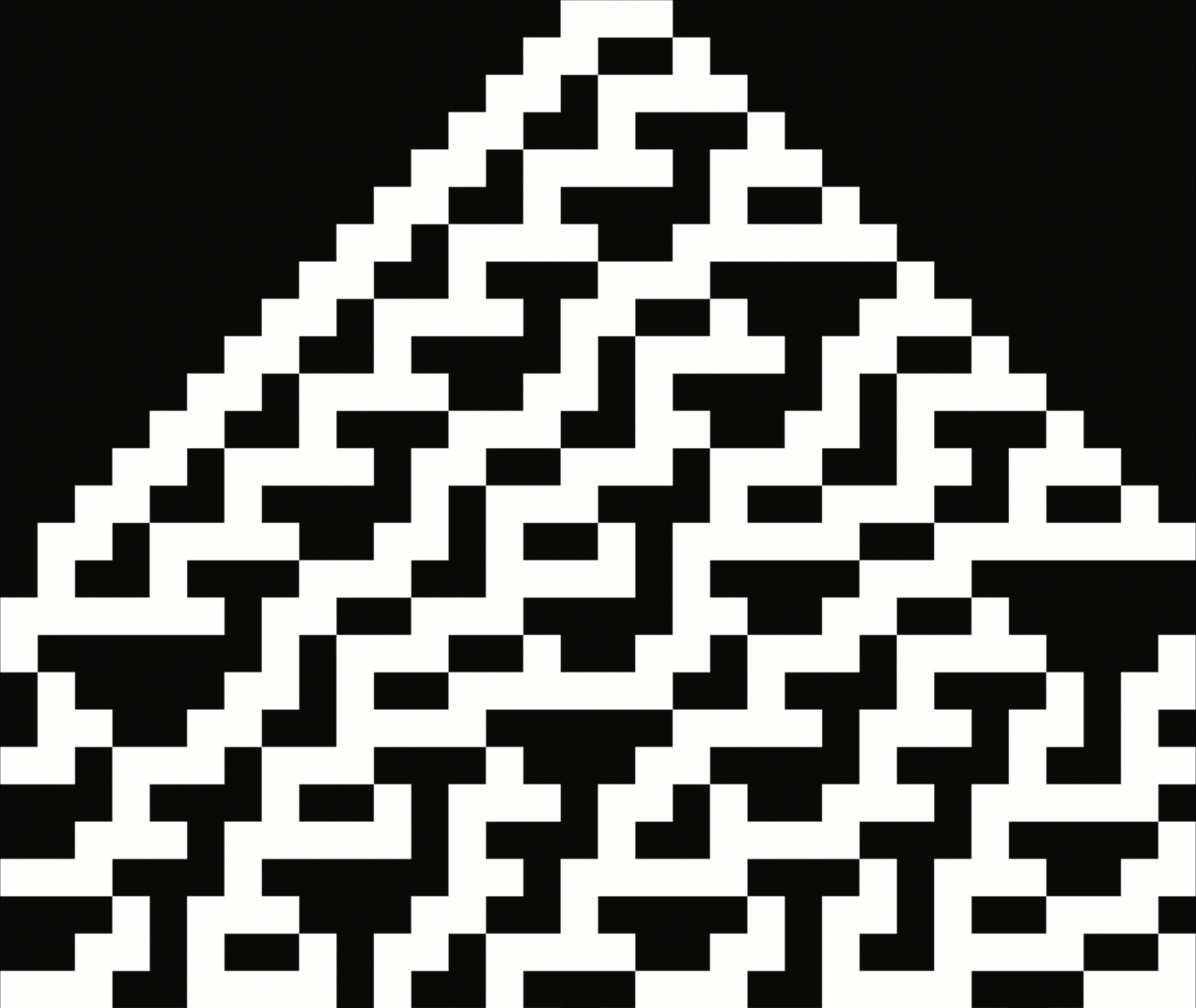 Cellular Automaton | Sonification and visualisation