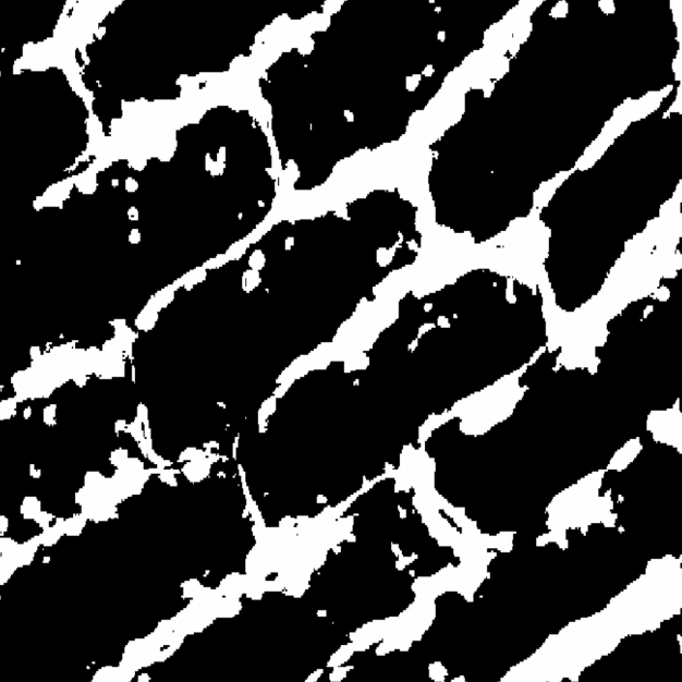 Cellular Patterns